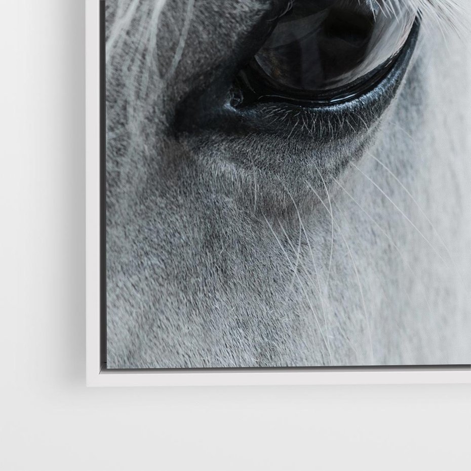 Obraz w ramie 50x50 - Oko Mocy - czarno białe zdjęcie, zbliżenie makro na oko konia - rama biała