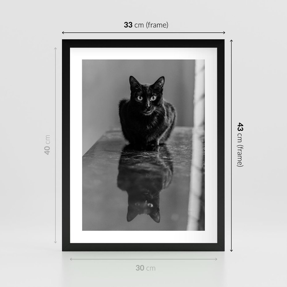 Plakat w ramie 30x40 - Kocie Oczy - kot, czarno białe zdjęcie - rama czarna