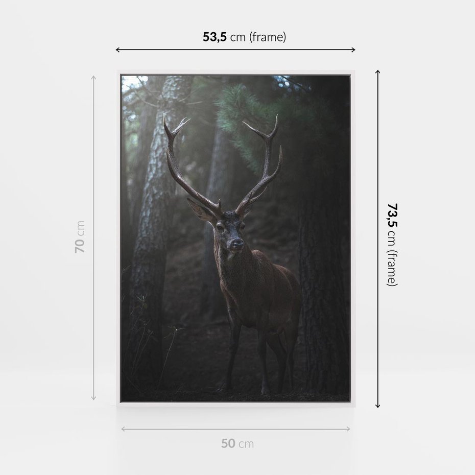Obraz w ramie 50x70 - Jeleń wśród lasu - jeleń, las - rama biała