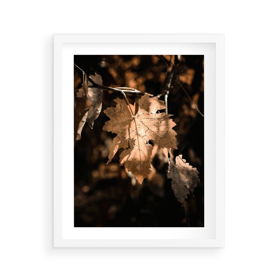 Plakat w ramie 40x50 - Uroczy Liść na Drzewie - jesienny liść, żółty liść na drzewie - rama biała
