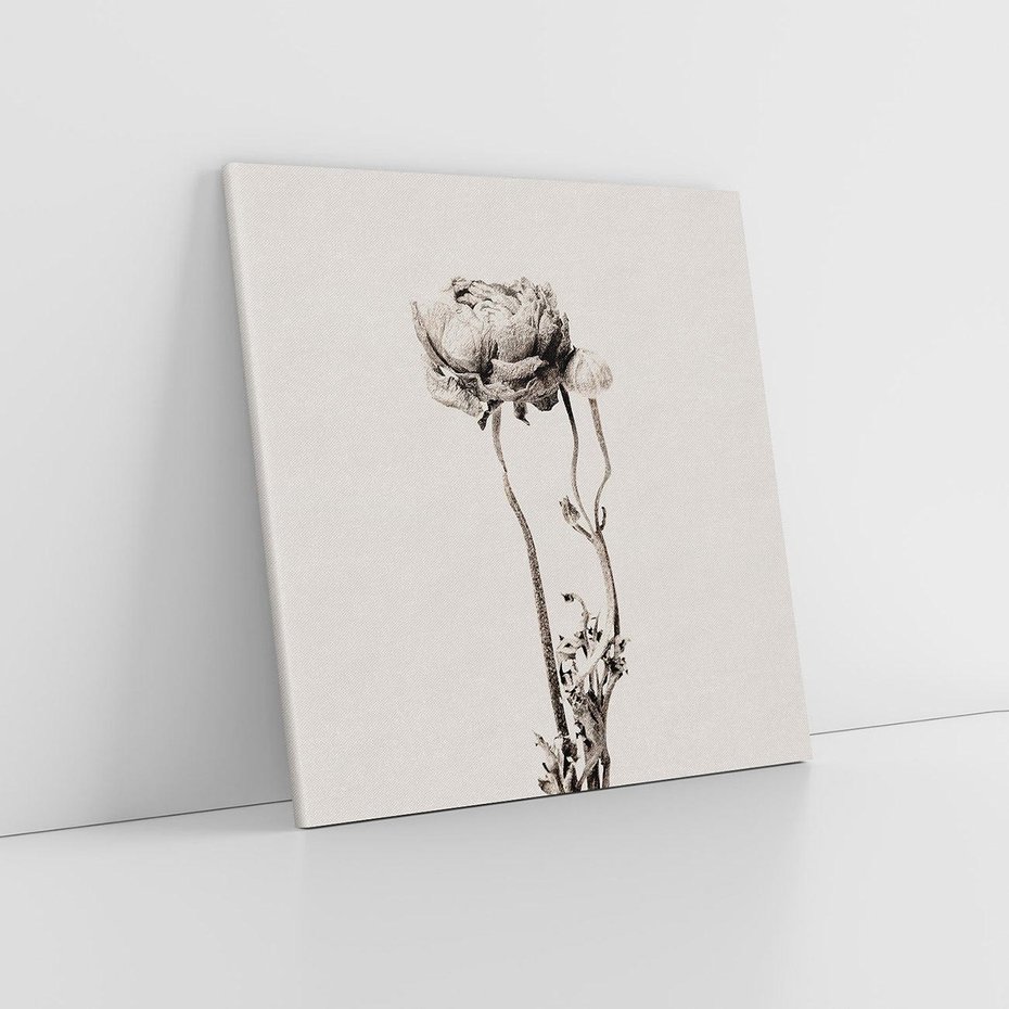 Obraz na płótnie 60x60 - Cień Kwiatowej Delikatności - kwiat, cień