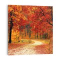 Obraz na płótnie 40x40 - Jesienna melodia lasu - jesień, las