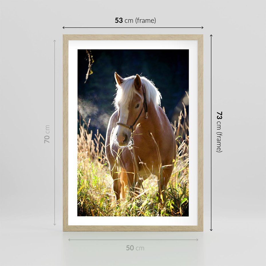 Plakat w ramie 50x70 - Spotkanie konia na łące - koń, łąka - rama drewno