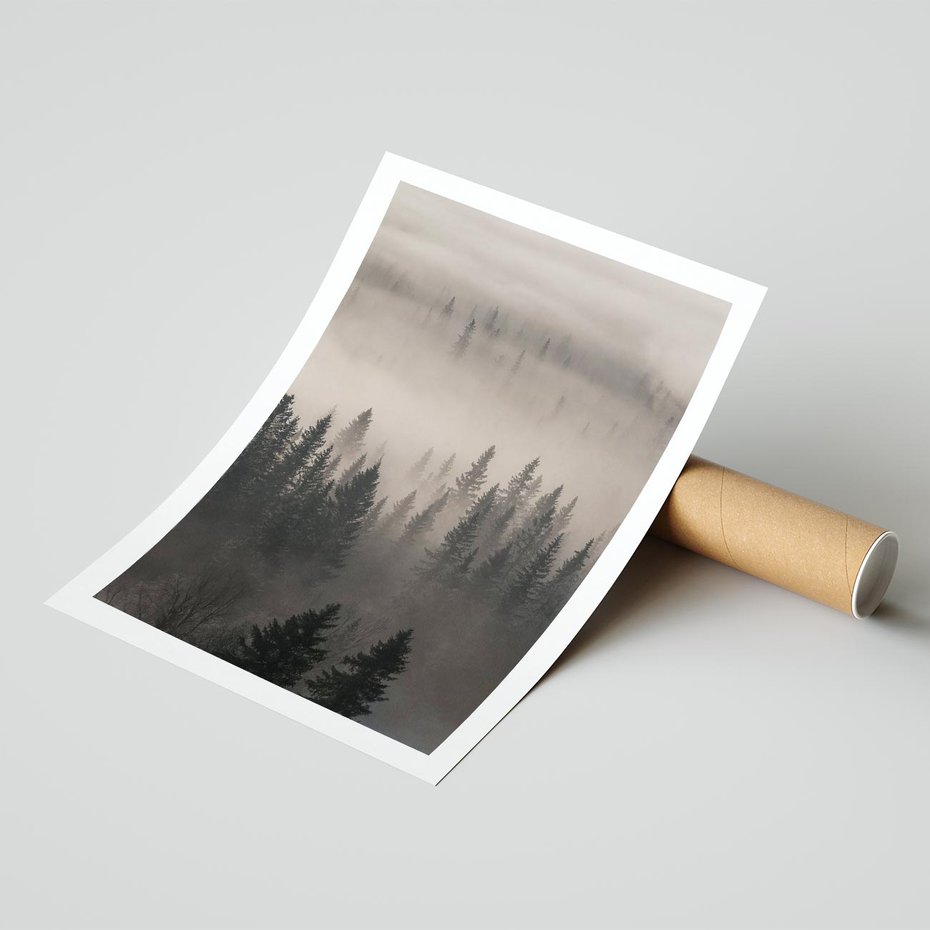 Plakat bez ramy 30x40 - Mglista Opowieść Lasu - las, mgła