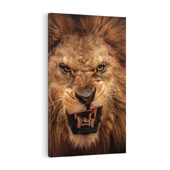 Obraz na płótnie 70x100 - Władca Sawanny - lew, sawanna