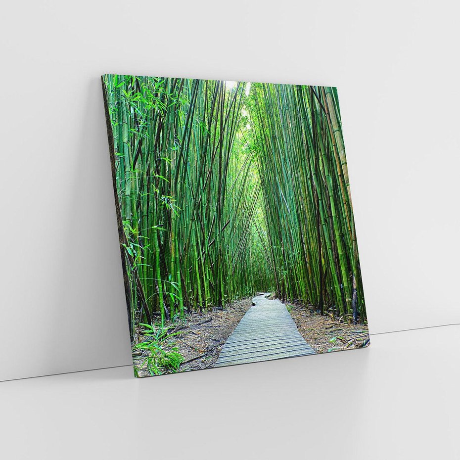 Obraz na płótnie 50x50 - Spacer wśród lasu - ścieżka, las