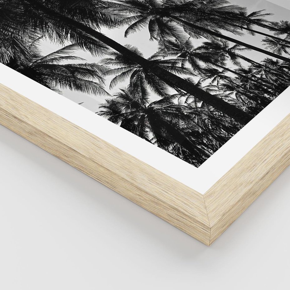 Plakat w ramie 40x50 - Mono Tropiki - palmy, drzewa palmowe - rama drewno