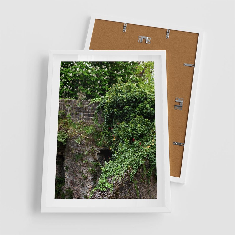 Plakat w ramie 50x70 - Żywiołowa Zieleń - mur, liście - rama biała