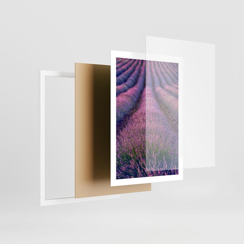 Plakat w ramie 50x70 - Pole Lawendy w Pełnej Krasie - pole lawendy, kompozycja - rama biała