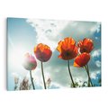 Obraz na płótnie 120x80 - Kwiaty pod niebem: piękno natury - kwiaty, niebo