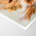 Plakat bez ramy 21x30 - Magia Jesieni - liście, jesień