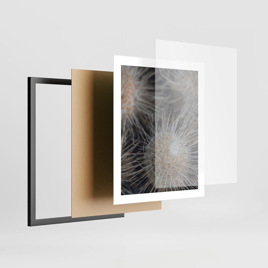 Plakat w ramie 40x50 - Ulotna Piękność Natury - makro, dmuchawce - rama czarna