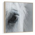 Obraz w ramie 50x50 - Oko Mocy - czarno białe zdjęcie, zbliżenie makro na oko konia - rama drewno