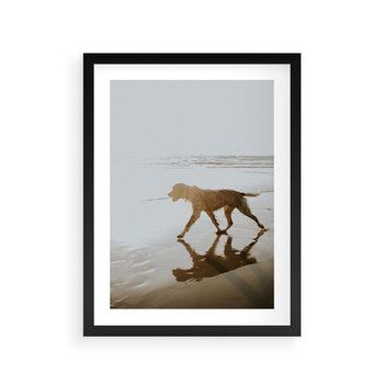 Plakat w ramie 50x70 - Przyjaciel na Plaży - pies, na plaży - rama czarna