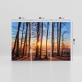 Obraz na płótnie 120x80 - Zachód słońca w jesiennym lesie - zachód słońca,