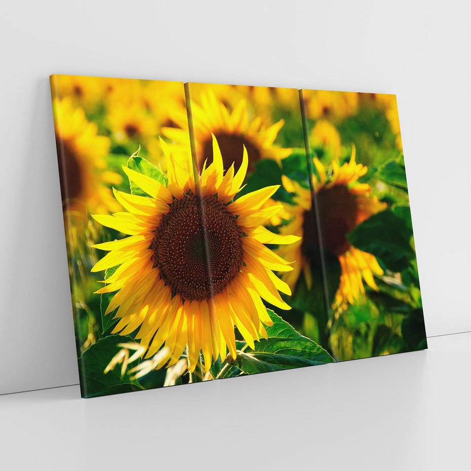 Obraz na płótnie 120x80 - Słonecznikowa Energia - słonecznik, kwiat