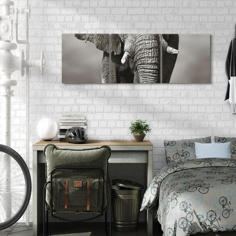 Obraz na płótnie 120x40 - Majestatyczny słoń Afryki - słoń, Afryka