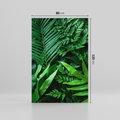 Obraz na płótnie 80x120 - Monstera Liście Fantazja - monstera, liście