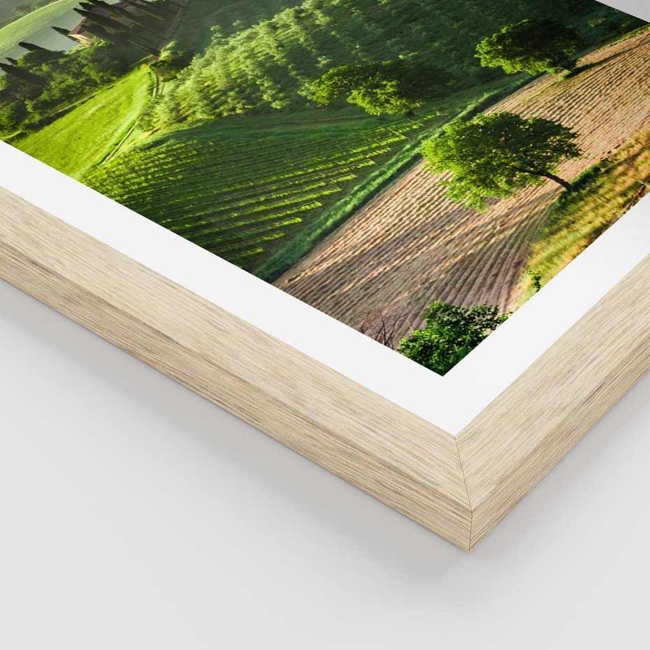 Plakat w ramie 30x40 - Prowansja: malownicze winnice w kraju Włoch - Prowansja, Włochy - rama drewno