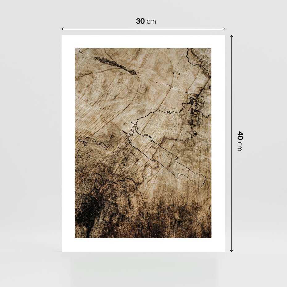 Plakat bez ramy 30x40 - Słoje Natury - słoje drzewa, pieńdrzewa