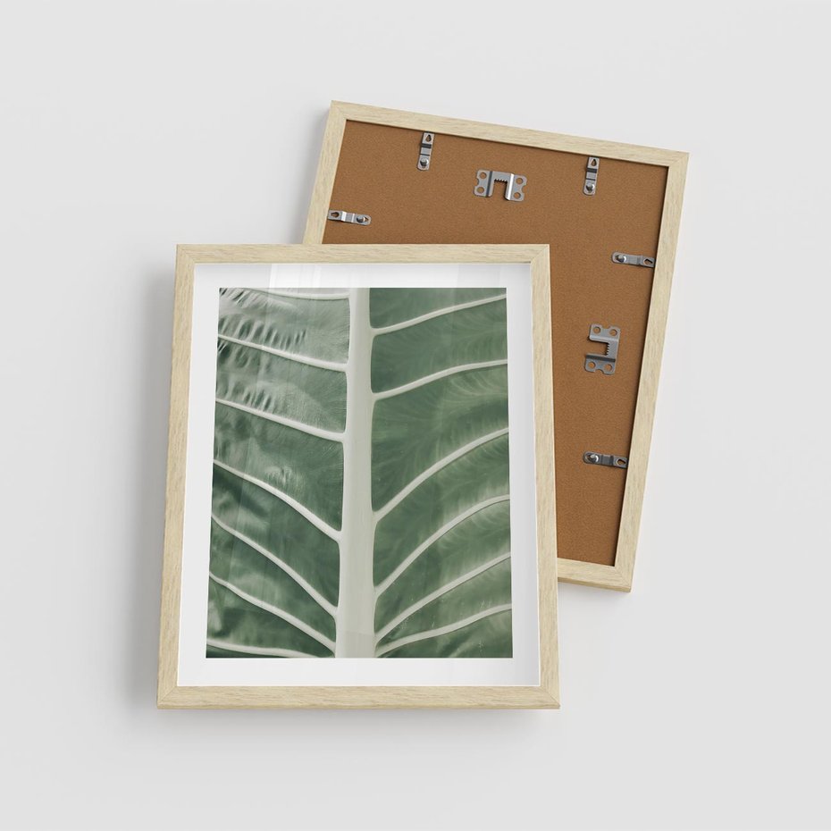 Plakat w ramie 40x50 - Zielone Wielkości: Zbliżenie Liścia - zbliżenie duz liść, jasna zieleń - rama drewno