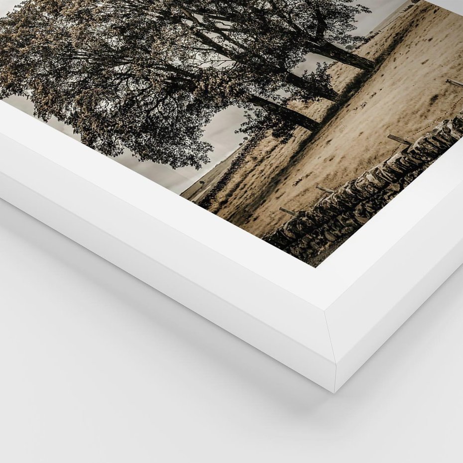 Plakat w ramie 50x70 - Spokojna Osamotniona Chwila - beżowe kolory, samotne drzewo na polu - rama biała