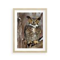 Plakat w ramie 30x40 - Tajemniczy Stróż - sowa, las - rama drewno