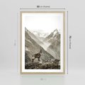 Plakat w ramie 50x70 - Dzikie Piękno: Kozica w Malowniczym Górskim Scenerii - kozica, góry - rama drewno