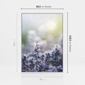 Obraz w ramie 80x120 - Delikatna Uroda Natury - wrzosy, fiolet - rama biała