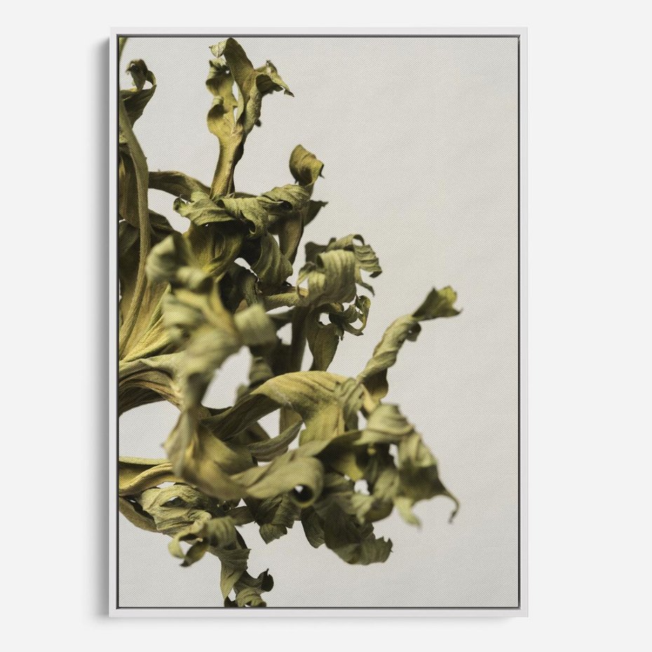 Obraz w ramie 50x70 - Odejście pory deszczowej - suche, trawy - rama biała