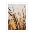 Plakat bez ramy 30x40 - Malownicza Łąka z Trawam - trawy, łąka