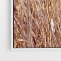 Obraz w ramie 80x120 - Mistrzowskie suche trawy - suche, trawy - rama biała