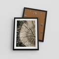 Plakat w ramie 30x40 - Wnętrze Natury - pień, przecięty pień - rama czarna