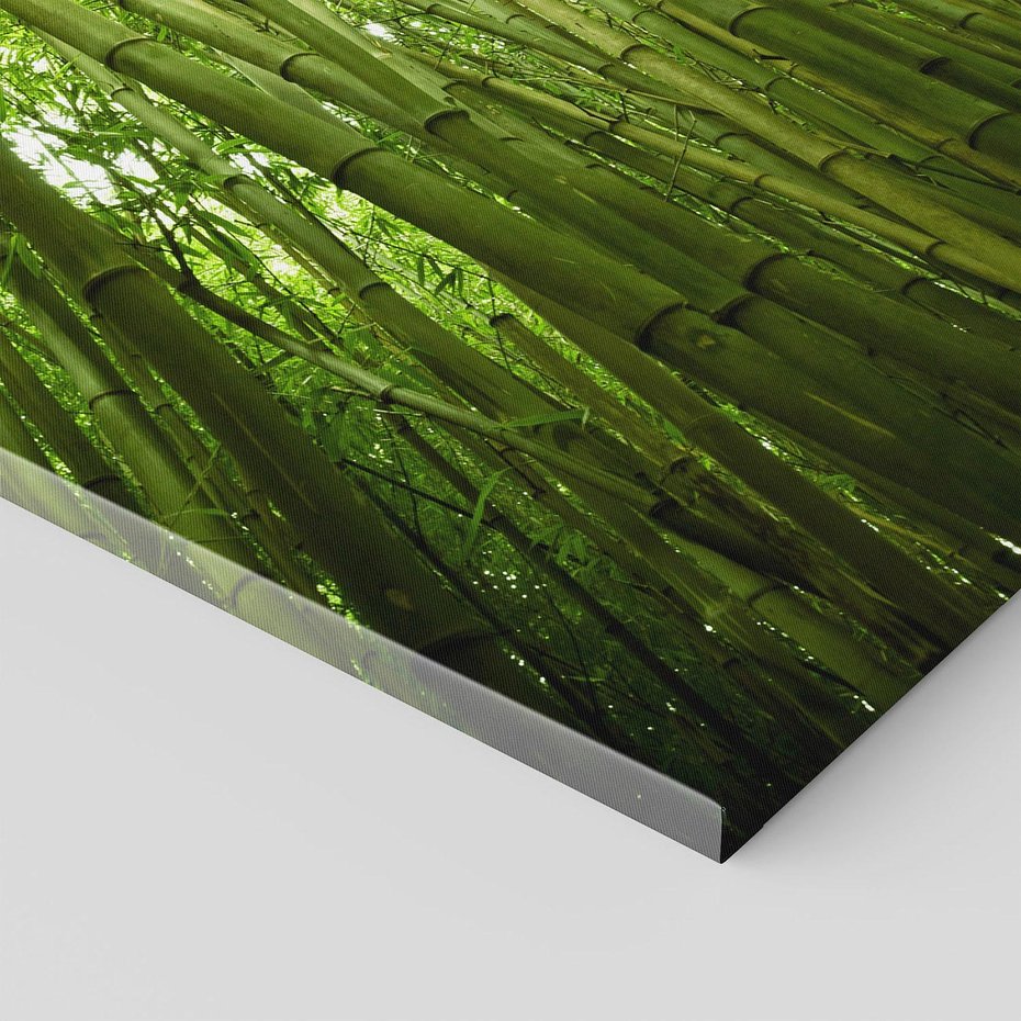 Obraz na płótnie 70x100 - Siła Natury - drzewa, las