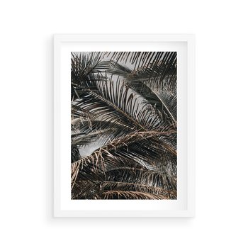 Plakat w ramie 30x40 - Liściaste Palmy - palmy, drzewa palmowe - rama biała