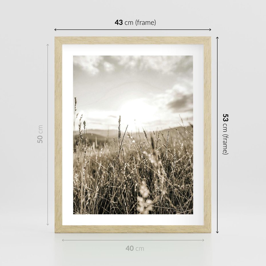 Plakat w ramie 40x50 - Łąka w Klimacie Sepii - suche trawy, łąka - rama drewno