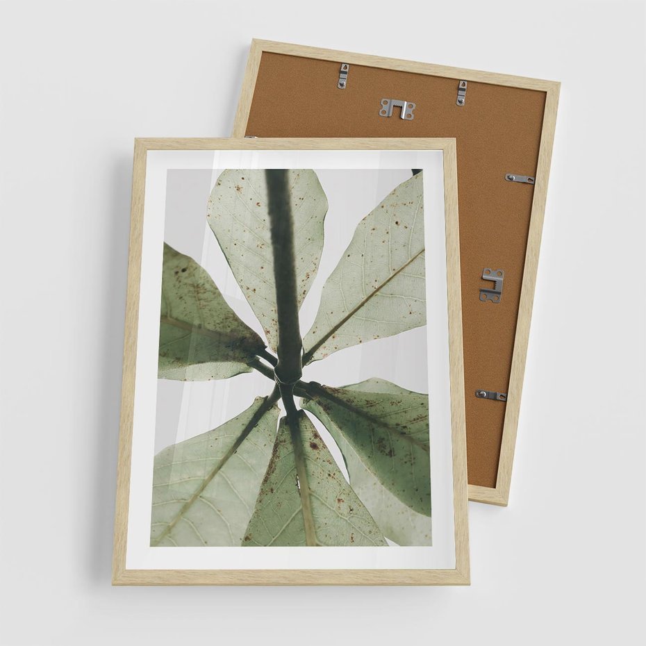 Plakat w ramie 50x70 - Jasna Zieleń w Makro - makro zdjęcie liści, jasna zieleń - rama drewno