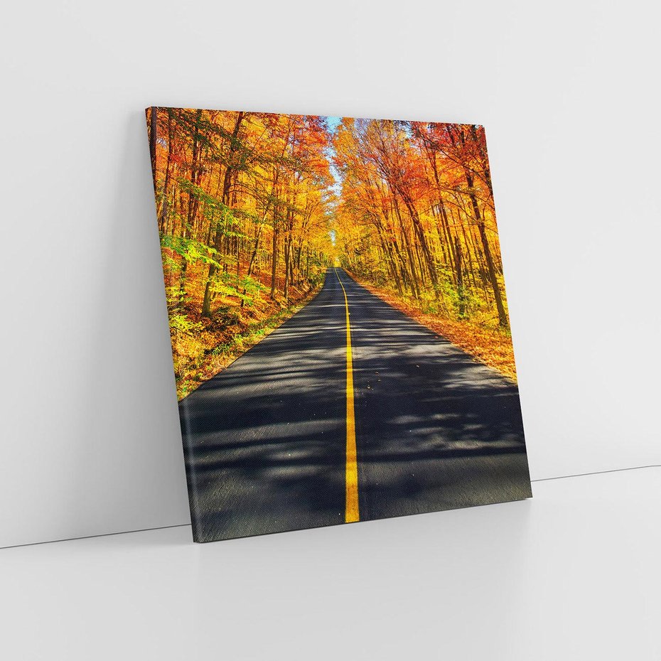 Obraz na płótnie 30x30 - Droga przez jesienny las - droga, las