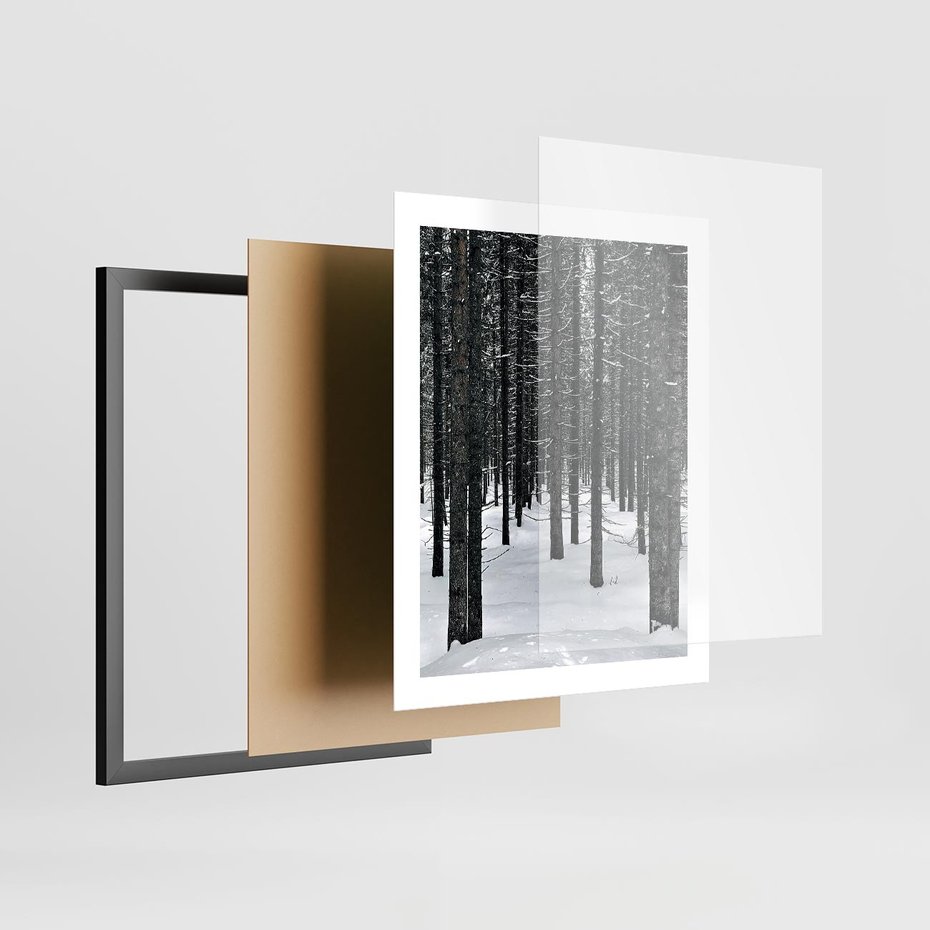 Plakat w ramie 40x50 - Zimowe Drzewa: Śnieg na Pniach - drzew w zimi, pnie drzew - rama czarna