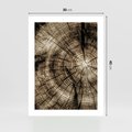 Plakat bez ramy 30x40 - Natura Pod Lupą - pień drzewa, przekrój