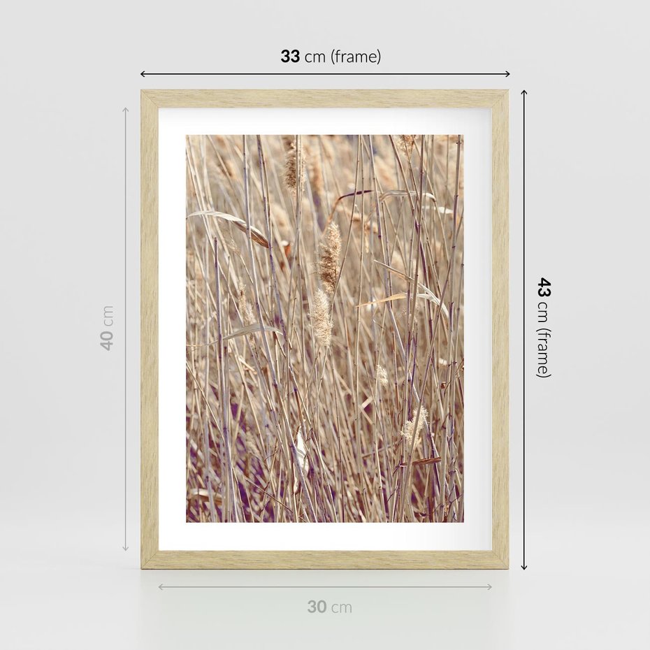 Plakat w ramie 30x40 - Suche Trawy w Wyjątkowym Stylu - suche trawy, boho styl - rama drewno