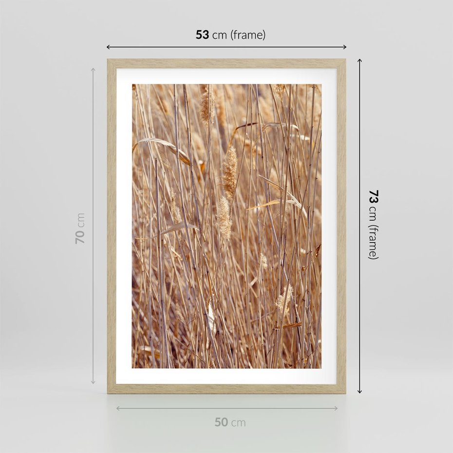 Plakat w ramie 50x70 - Mistrzowskie suche trawy - suche, trawy - rama drewno