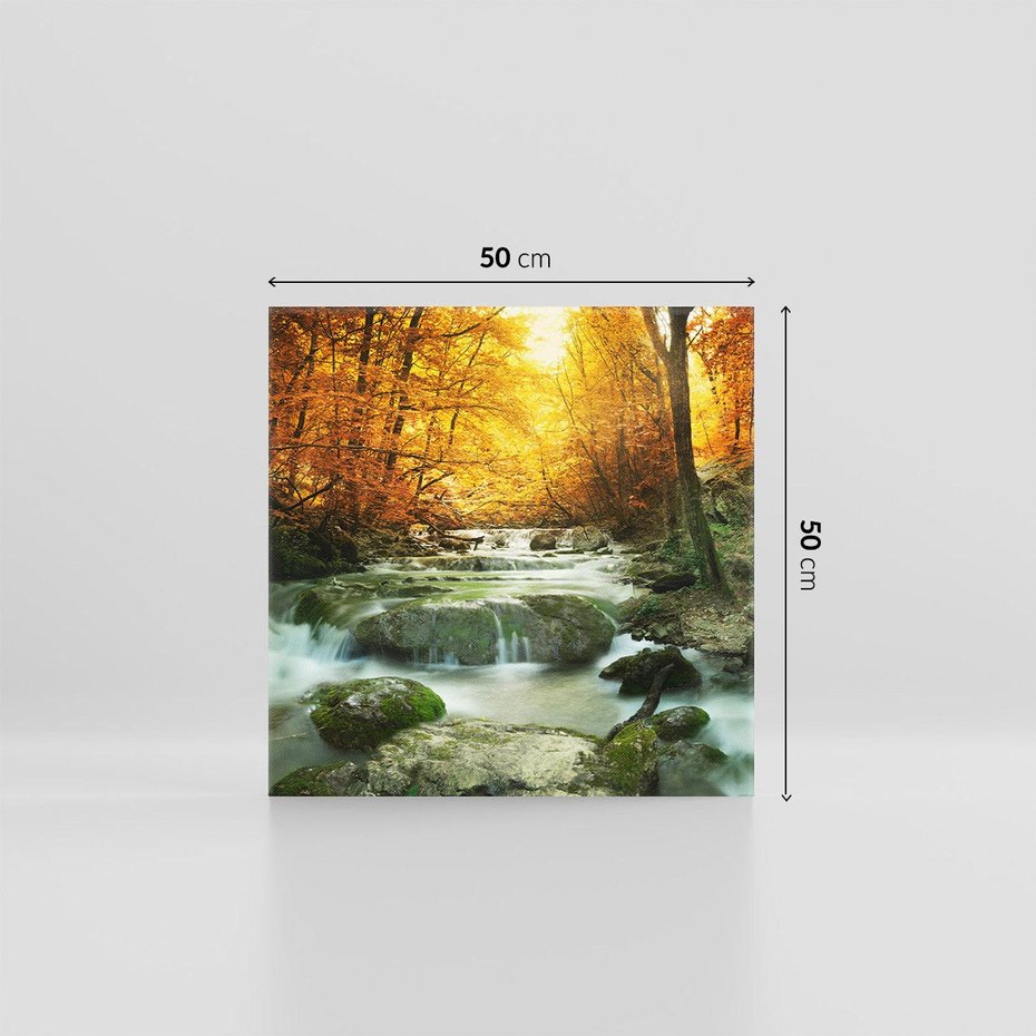 Obraz na płótnie 50x50 - Siła Natury: Strumień w Lesie - strumień, las