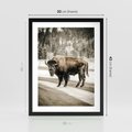 Plakat w ramie 30x40 - Spotkanie z Żubrem na Leśnej Drodze - żubr, las - rama czarna