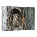 Obraz na płótnie 100x70 - Tajemniczy W świecie Nocy - sowa, dziupla