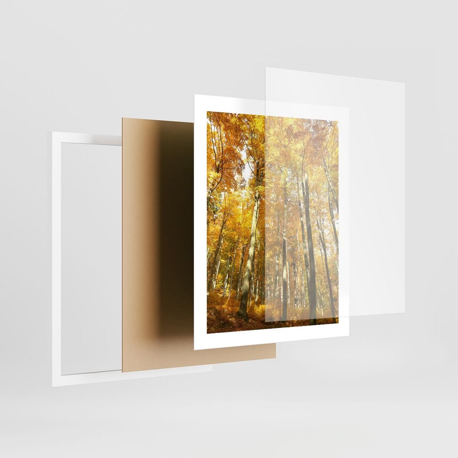 Plakat w ramie 40x50 - Jesienny Las - Kolorowa Paleta Natury - jesień, drzewa - rama biała