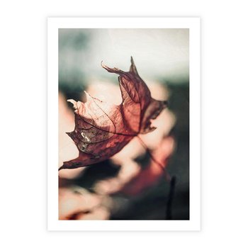 Plakat bez ramy 21x30 - Liść w Jesieni - jesienny liść, czerwony
