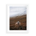 Plakat w ramie 50x70 - Owiecka panorama - góry, owca - rama biała