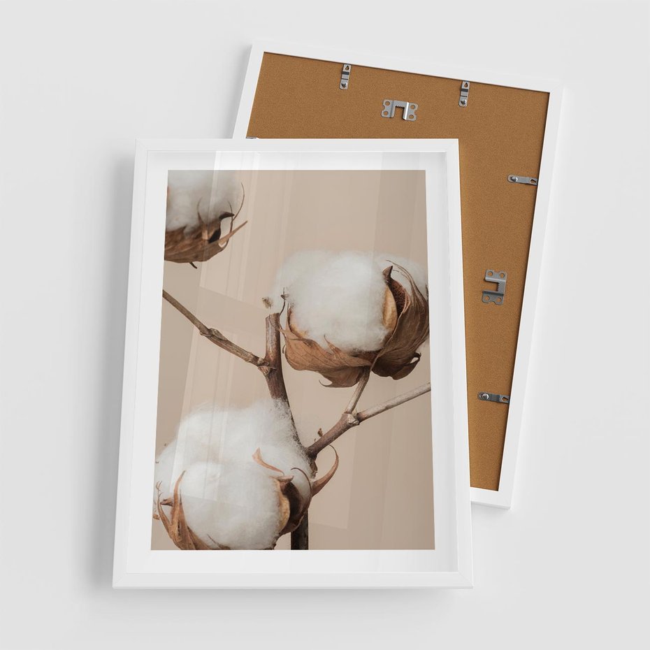 Plakat w ramie 50x70 - Bawełniana melancholia - bawełna, suche - rama biała