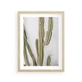 Plakat w ramie 30x40 - Kaktus w Stylu Boho - kaktus, roślina tropikalna - rama drewno